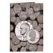 Eisenhower-Anthony Dollar Folder 1971-1999