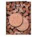 Lincoln Cent Folder Starting 1975 - Book 3